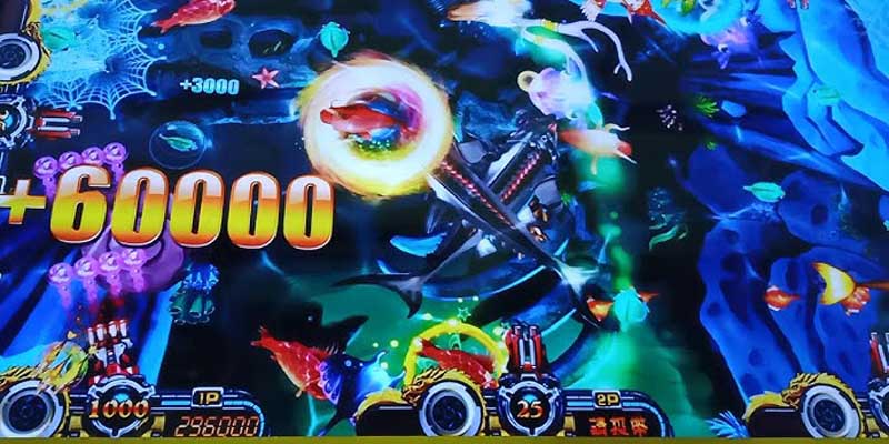 Theo dõi sự di chuyển của cá Theo dõi sự di chuyển của cá